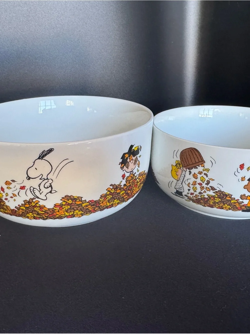 Peanuts Holiday Ceramic Bowls - Fall Leaves Design